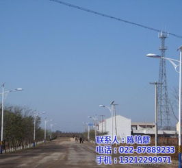 點亮鄉(xiāng)村夜空 天津恒利達路燈廠新農(nóng)村太陽能路燈批發(fā)詳解